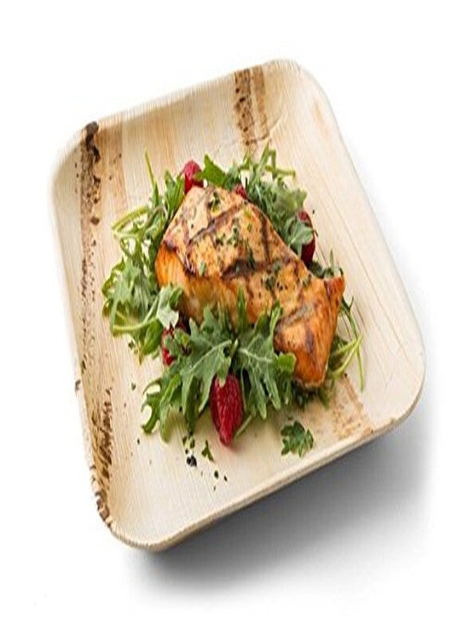 Perfectware Palm Plate 10-25 10" Palm Leaf Disposable Plates, 10" Length, 10" Width, 3.5" Height (Pack of 25) - Image 3