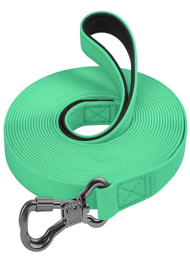 XiaZ Waterproof Long Dog Leash, Training Long Line Lead for Large Medium Small Dogs Outside Walking, Playing, Camping, or Yard (30FT, Teal) - Image 1