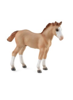 CollectA Breyer CollectA 1/18 Model Horse - Red Dun Quarter Foal 