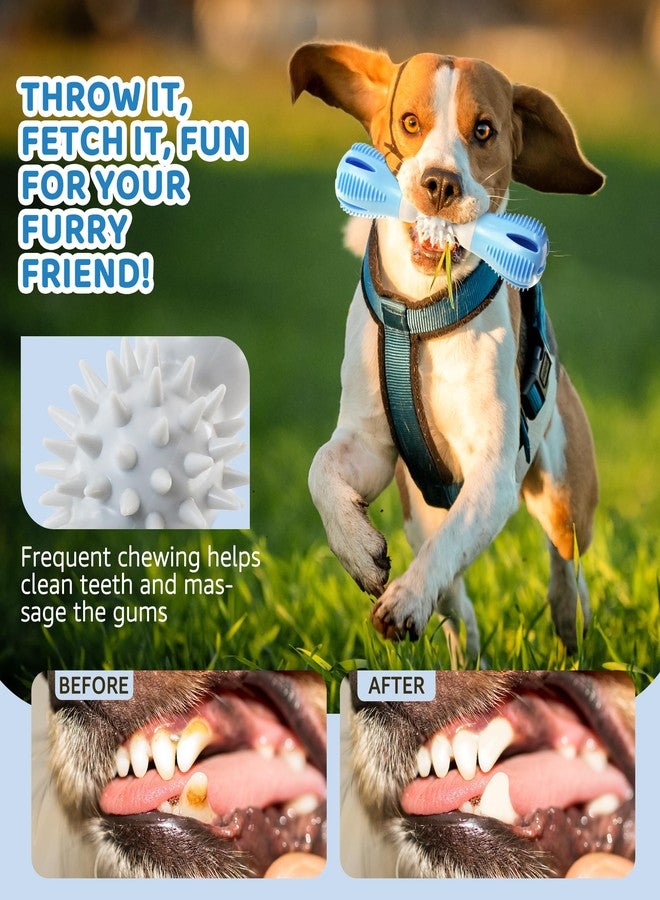IPTPAS Durable Dog Chew Toy, Natural Rubber Treat Dispensing Puzzle Toy for Small & Medium Breeds – Interactive Teething, Training, and Dental Care Toy to Keep Dogs Engaged & Relieve Boredom (Blue) - Image 3