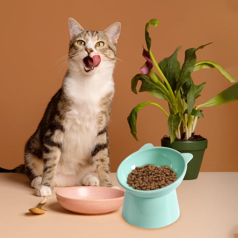 Qpets® وعاء قطط مرتفع، وعاء تغذية قطط بتصميم مضاد للانقلاب، وعاء طعام صحي للقطط، وعاء طعام للقطط والهرر/القطط الكبيرة (أخضر صديق للبيئة) - Image 2