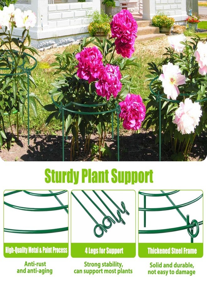 MJZ 8 Pack Peony Cages and Supports, 11.5" Dx16 H Plant Supports for Outdoor Plants, Heavy Duty Metal Peony Support Cage Flower Support Rings, Plant Support Ring for Rose Tomato Hydrangea Strawberry - Image 3