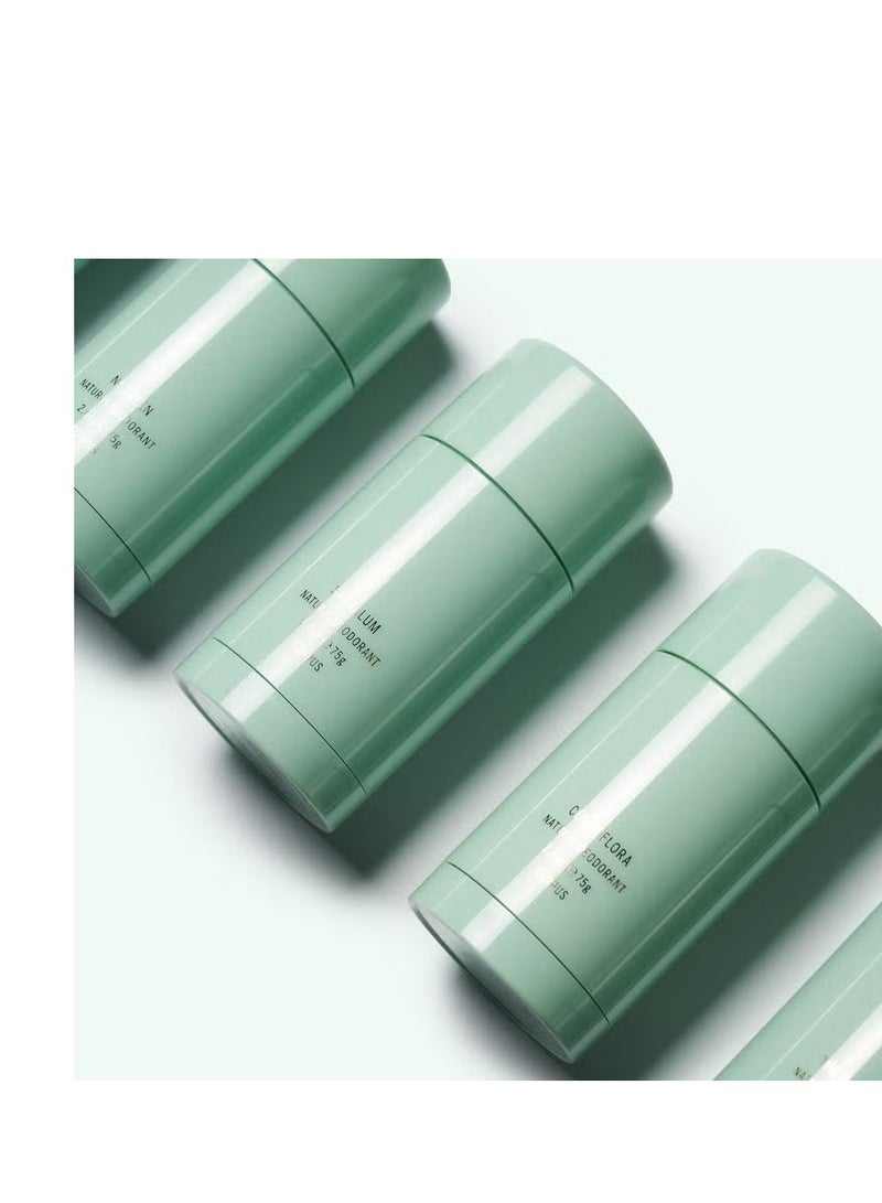 Corpus No. Green Deodorant Stick 75g - Image 4
