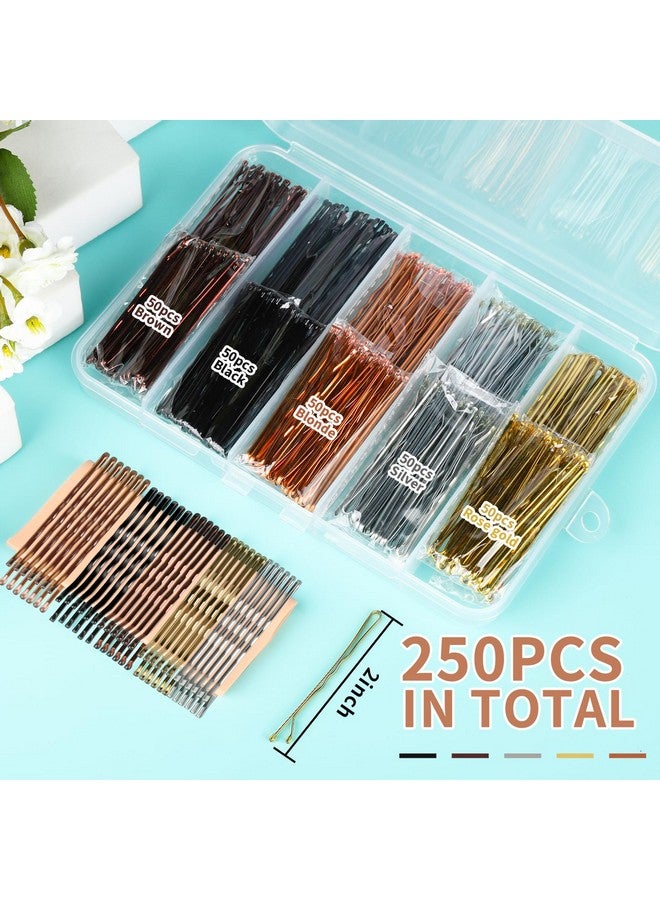 تينيتور دبابيس بوبي 250 عدد دبابيس بوبي بني للنساء والفتيات 2 بوصة دبابيس بوبي أسود أشقر بني فضي دبابيس شعر بوبي دبابيس شعر أشقر مع صندوق تخزين دبابيس بوبي تثبيت آمن - Image 3