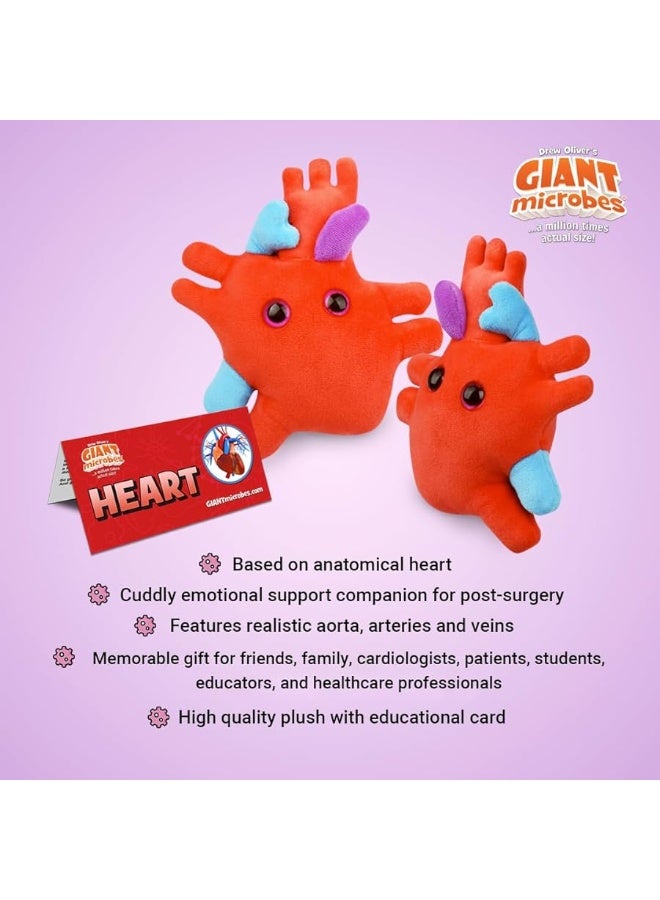 Giant Microbes GIANTmicrobes Heart Plush, Heart Stuffed Animal, Heart Transplant Gifts, Heart Toy, Anatomical Heart Gifts, Cardiologist Gifts, Cardiology Gifts, Open Heart Surgery Gifts, Heart Attack Survivor Gifts - Image 1