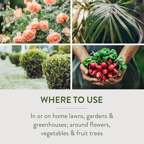 Garden Safe حبوب طعم الحلزونات والقواقع من علامة جاردن سيف، 2 باوند، تبدأ الحلزونات والقواقع بالموت خلال 3 إلى 6 أيام، يمكن استخدامها حول الحيوانات الأليفة والحياة البرية، للحدائق والحدائق المنزلية والدفيئات، 1 عبوة - Image 4