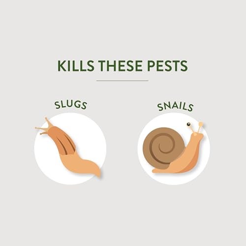 Garden Safe حبوب طعم الحلزونات والقواقع من علامة جاردن سيف، 2 باوند، تبدأ الحلزونات والقواقع بالموت خلال 3 إلى 6 أيام، يمكن استخدامها حول الحيوانات الأليفة والحياة البرية، للحدائق والحدائق المنزلية والدفيئات، 1 عبوة - Image 3