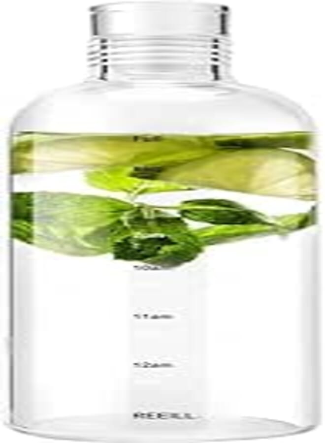 TRASSLE Water bottle,high borosilicate drinking Glass with printed time scale, sports water bottle, gym office outdoor sports and exercise (750ML)