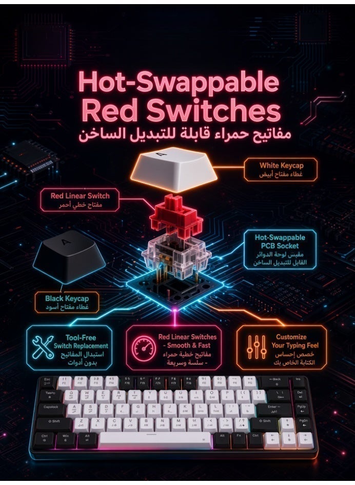 AOR Esports لوحة مفاتيح ألعاب ميكانيكية بـ 68 مفتاحًا بمحور أحمر بوضعية 3، بلوحة مفاتيح عربية لاسلكية بتقنية البلوتوث، إضاءة RGB صامتة، هيكل قابل لتبديل المحاور بسرعة، أزرار بدون تصادم، بطارية قابلة لإعادة الشحن بسعة 2000 مللي أمبير، لوحة مفاتيح - Image 5