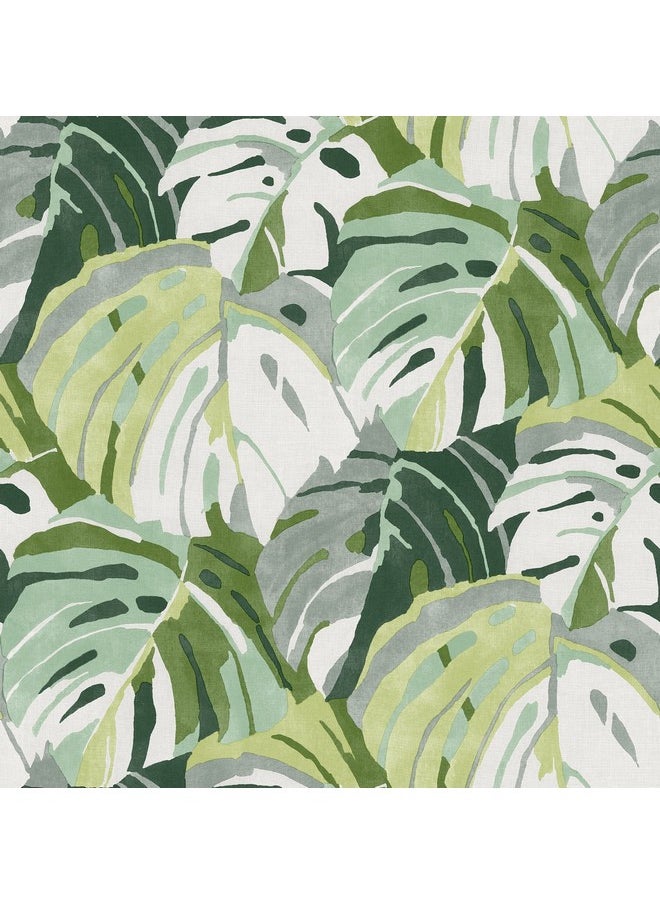 NuWallpaper Green Adansonii Peel & Stick Wallpaper  - Image 1