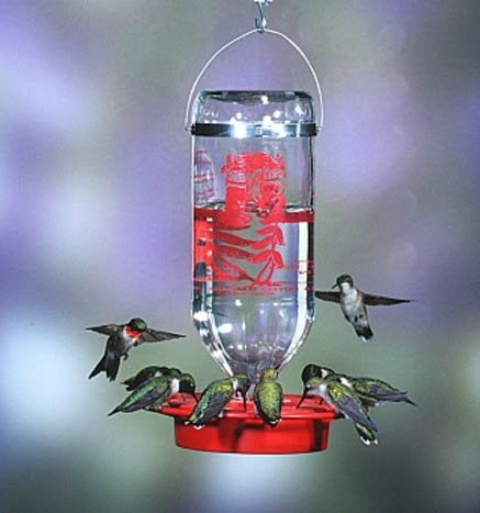Best-1 Best1 Hummingbird Feeder Replacement Bottom - Image 3