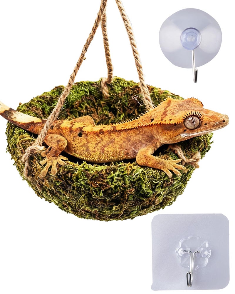 ORBIDYN Handmade Crested Gecko Tank Decor â€“ Hanging Shelter for Bearded Dragon Accessories, Reptile Hammock, Hermit Crab, Snake and Other Small Reptiles - Image 1