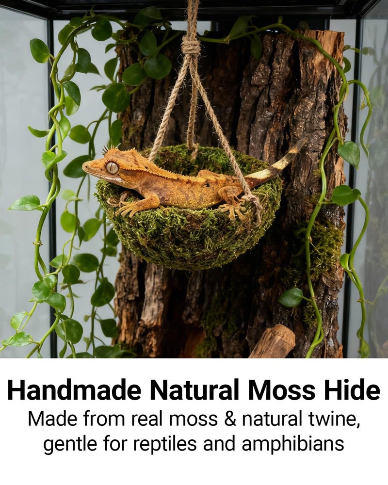ORBIDYN Handmade Crested Gecko Tank Decor â€“ Hanging Shelter for Bearded Dragon Accessories, Reptile Hammock, Hermit Crab, Snake and Other Small Reptiles - Image 2