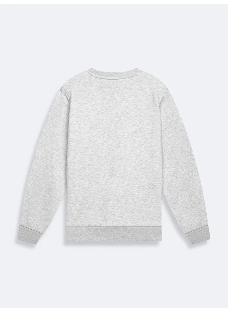 ال تي بي Grey Sweatshirt