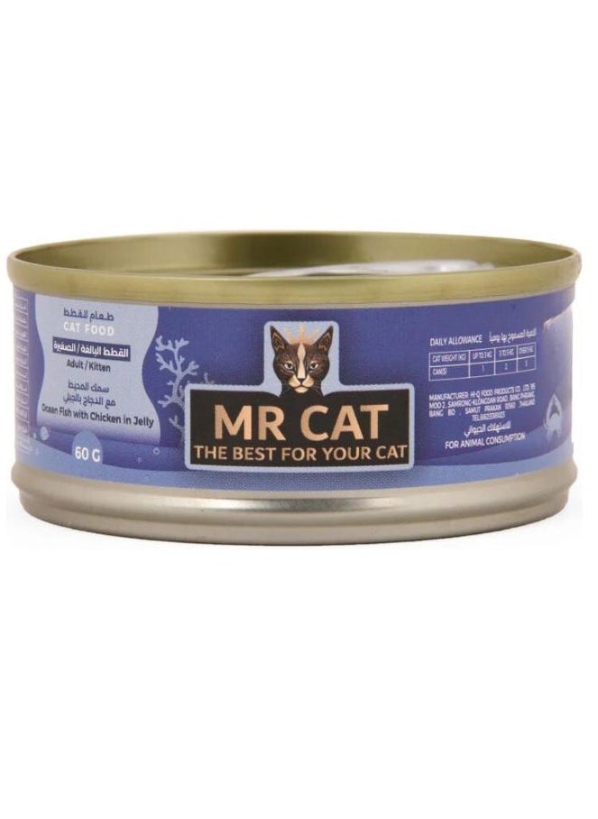 MR CAT Cat Adult And Kitten Wet Food Ocean Fish With Chicken in Jelly Flavor Pack Of 6  - Image 2