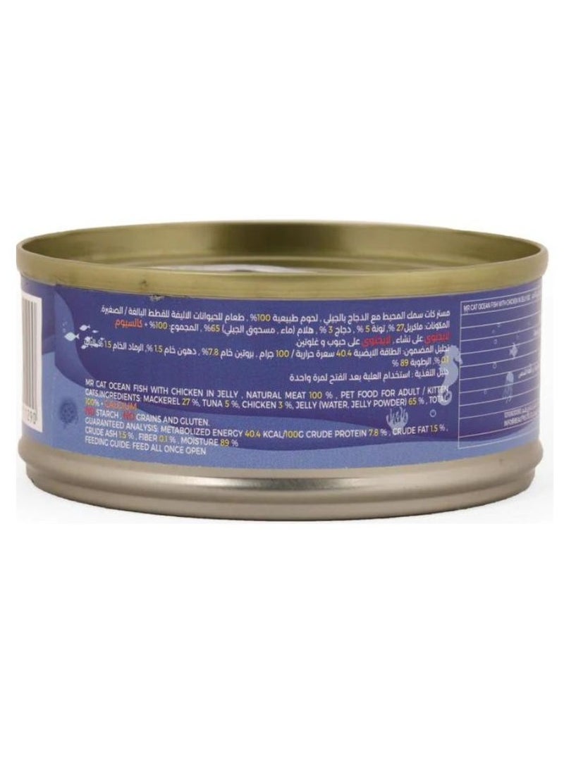 MR CAT Cat Adult And Kitten Wet Food Ocean Fish With Chicken in Jelly Flavor Pack Of 6  - Image 3