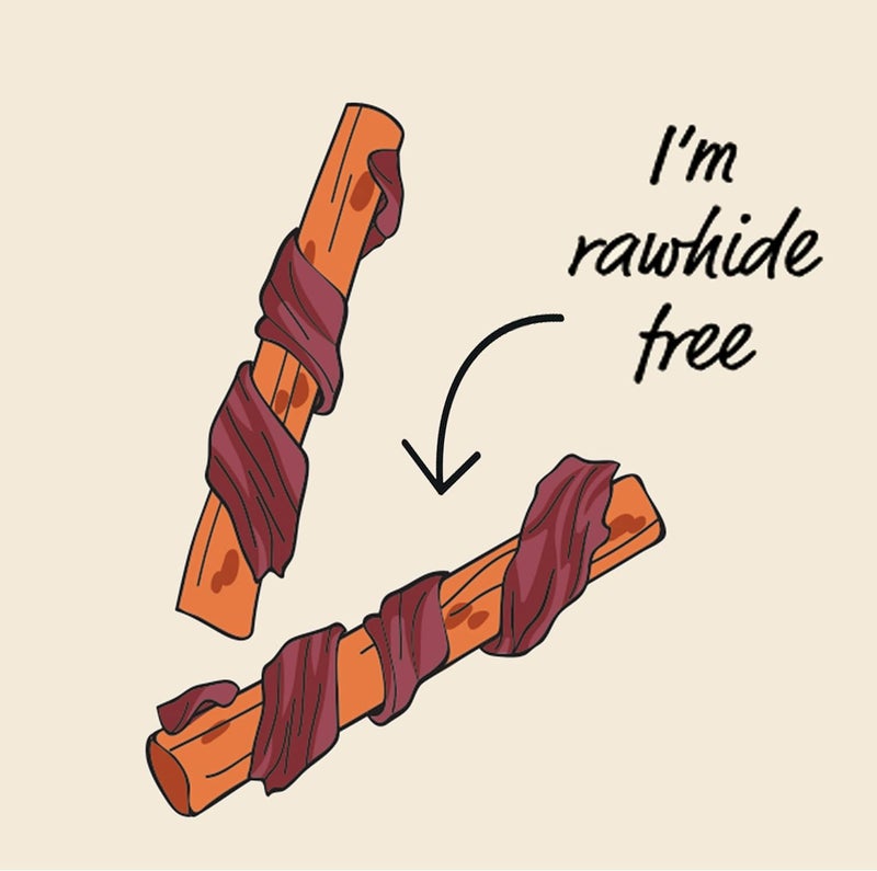 Good Boy - Chewy Duck With Carrot Sticks - Dog Treats - Made With 100% Natural Duck Breast Meat - 90 Grams ℮ - Rawhide Free Dog Treats - Case of 10 - Image 4
