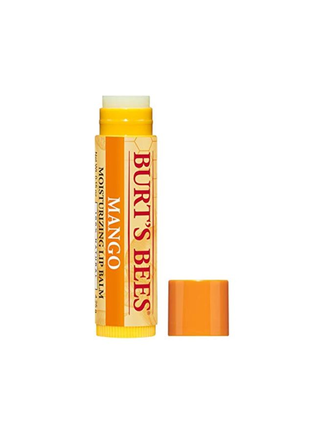 Burt's Bees 2-Piece Mango Moisturizing Lip Balm 4.25grams - Image 3