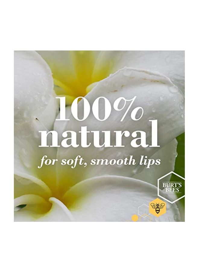 Burt's Bees 2-Piece Mango Moisturizing Lip Balm 4.25grams - Image 2