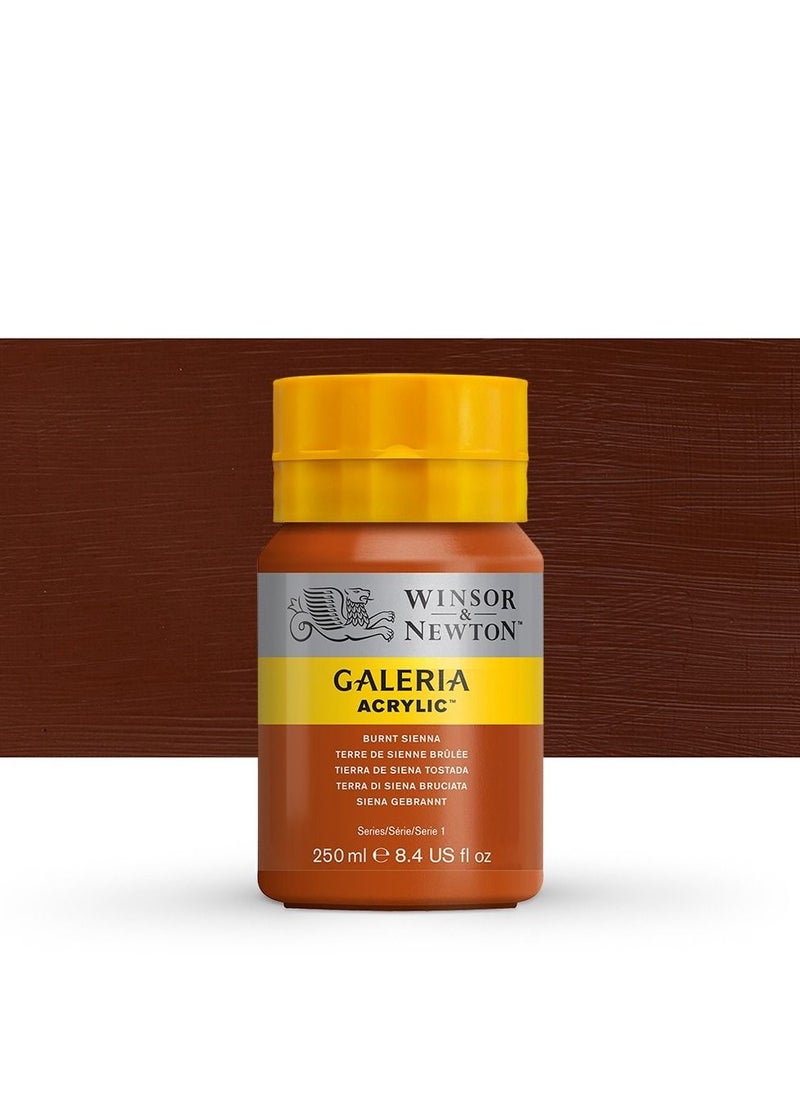WINSOR & NEWTON Galeria acrylic paint sienna 250 ml 