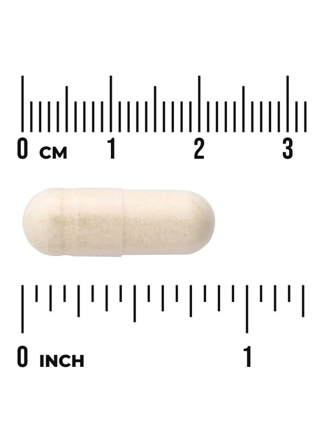 SWANSON Full Spectrum® Onion Bulb, 400 mg, 60 Capsules - Image 2