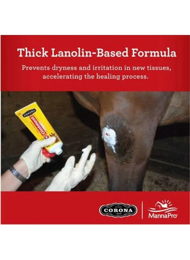 Manna Pro Corona Ointment for Horses|Lanolin Based Formula Helps Sooth Irritation|7 Ounces - Image 4