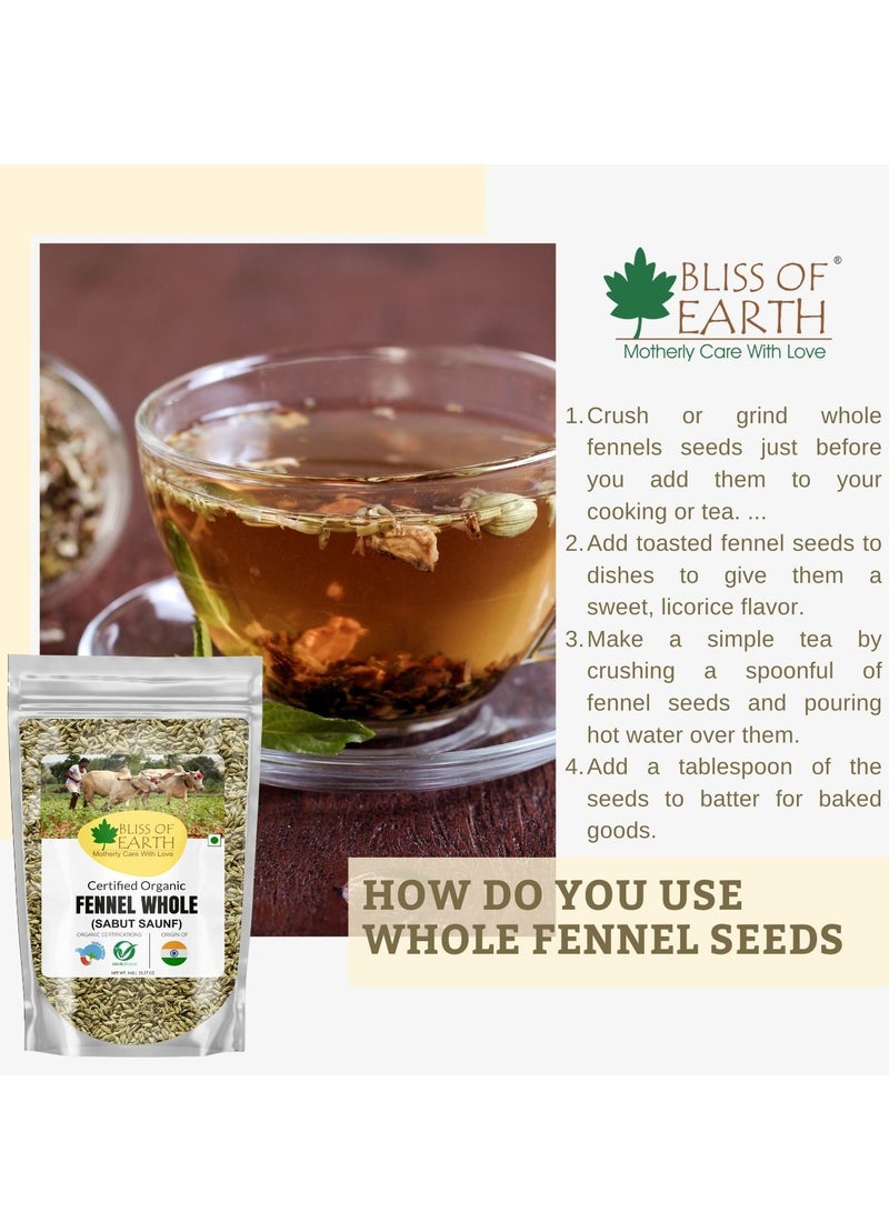 بليس اوف ايرث 400 جرام من بذور الشمر صنف بهارات هندية طازجة وحلوة رائعة لفقدان الوزن أو الصحة أو الطبخ - Image 4