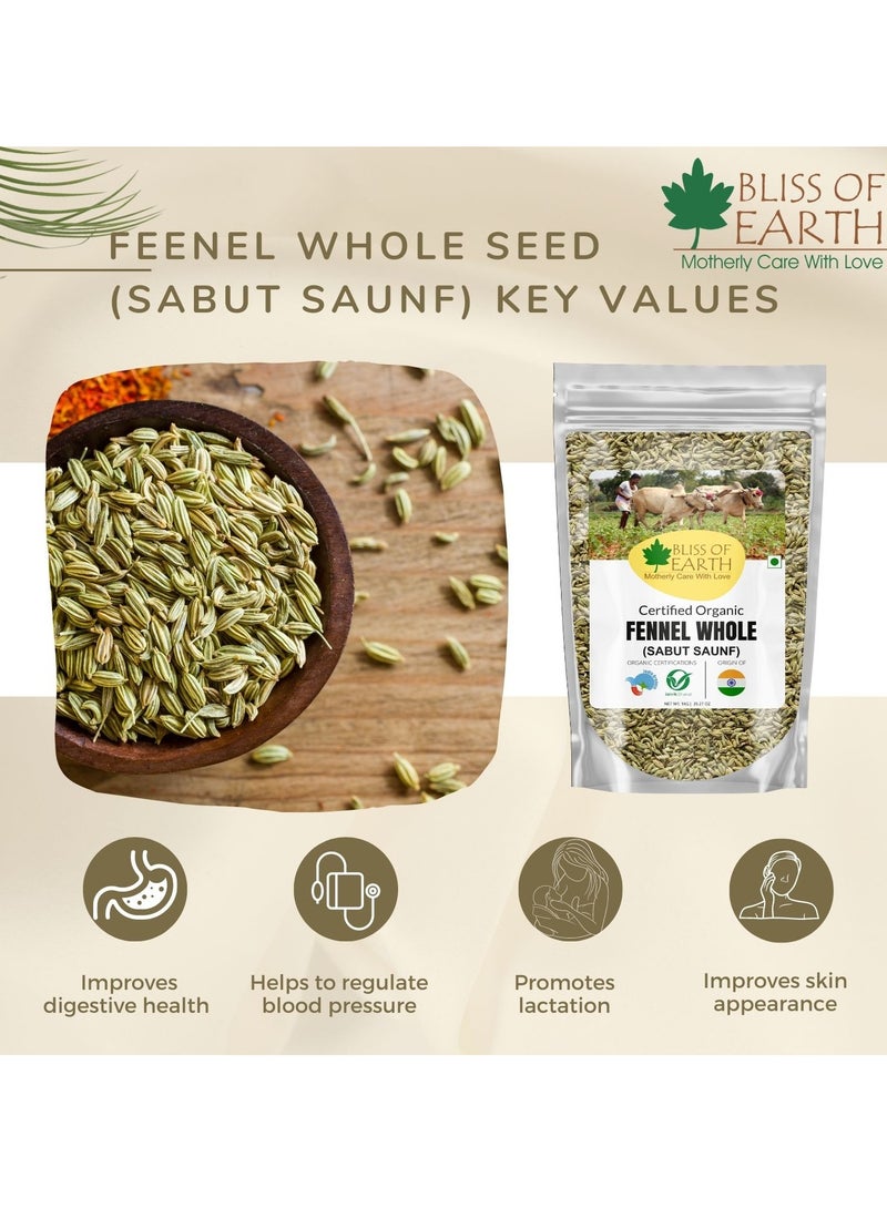 بليس اوف ايرث 400 جرام من بذور الشمر صنف بهارات هندية طازجة وحلوة رائعة لفقدان الوزن أو الصحة أو الطبخ - Image 5