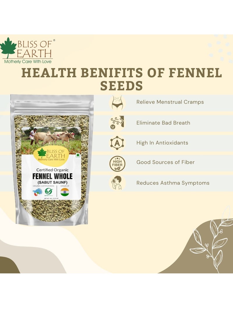 بليس اوف ايرث 400 جرام من بذور الشمر صنف بهارات هندية طازجة وحلوة رائعة لفقدان الوزن أو الصحة أو الطبخ - Image 2