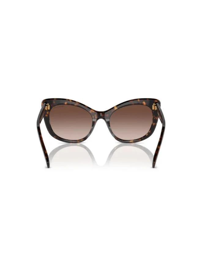 SWAROVSKI 0Sk6020 Cateye Sunglasses