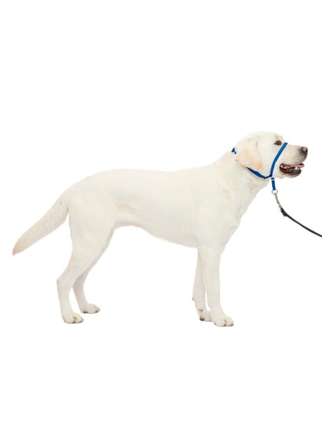PetSafe Gentle Leader No-Pull Dog Headcollar - The Ultimate Solution to Pulling - Redirects Your Dog's Pulling For Easier Walks - Helps You Regain Control - Large, Royal Blue - Image 1