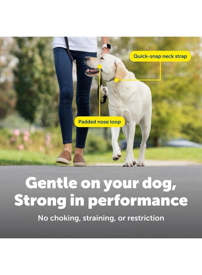 PetSafe Gentle Leader No-Pull Dog Headcollar - The Ultimate Solution to Pulling - Redirects Your Dog's Pulling For Easier Walks - Helps You Regain Control - Large, Royal Blue - Image 4