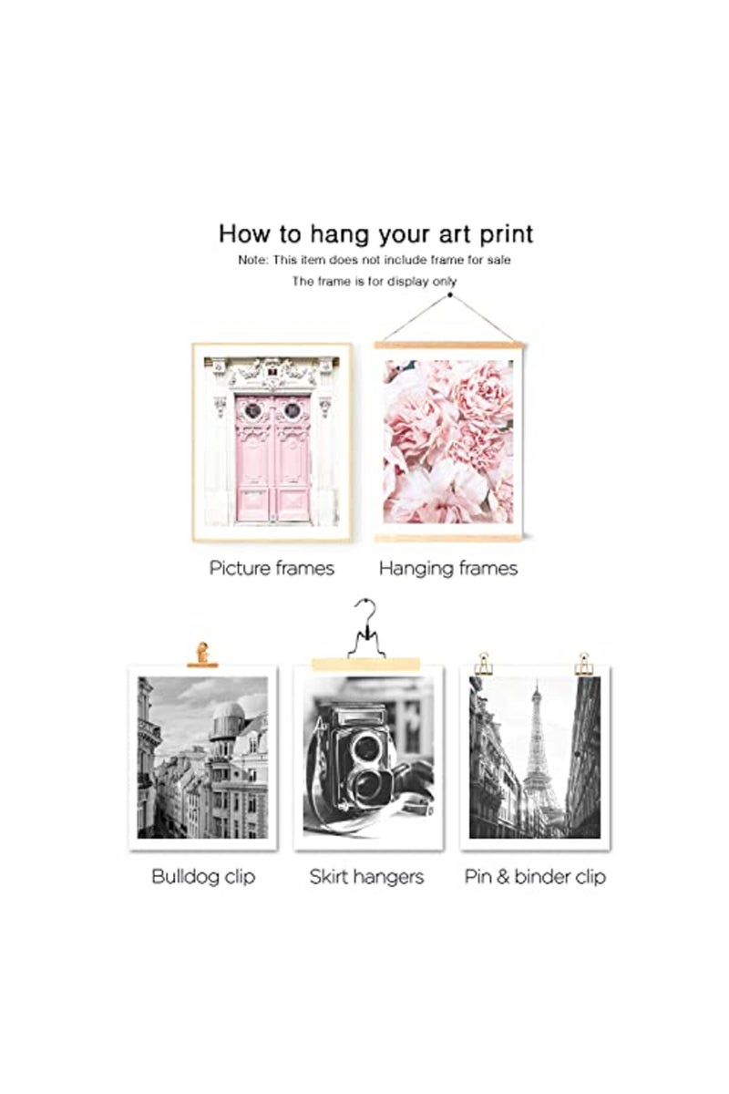 HoozGee Vintage Fashion Paris Wall Art Prints Black and White Canvas Poster Eiffel Tower Pink Flower Doors Windows Pictures Photos Wall Decor for Office Bedroom Living Room (8"x10" UNFRAMED) - Image 5