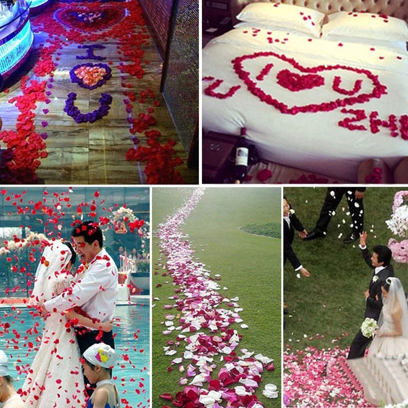 Neo LOONS 1000 Pcs Artificial Silk Rose Petals Decoration Wedding Party Color Light Pink & White - Image 3