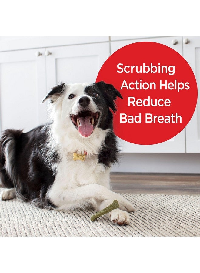 Milk-Bone Fresh Breath Brushing Chews, 9 Small/ Medium Daily Dental Dog Treats (Pack of 5) Scrubbing Action Helps Clean Teeth - Image 2