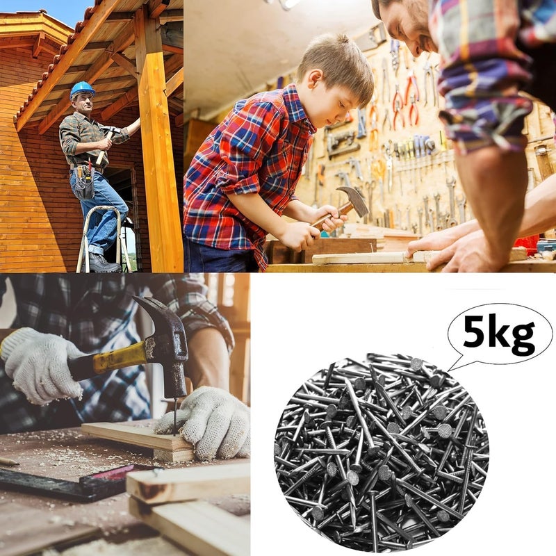 Royal Apex 11/2 Inch 5kg Common Wire Round Head Nails - Image 4