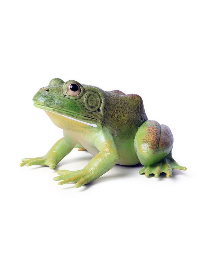 DOYIFUN Simulated Tree Frog Model Figure Toy, Realistic Bullfrog Figurines Collection Playset Science Educational Props - Image 1