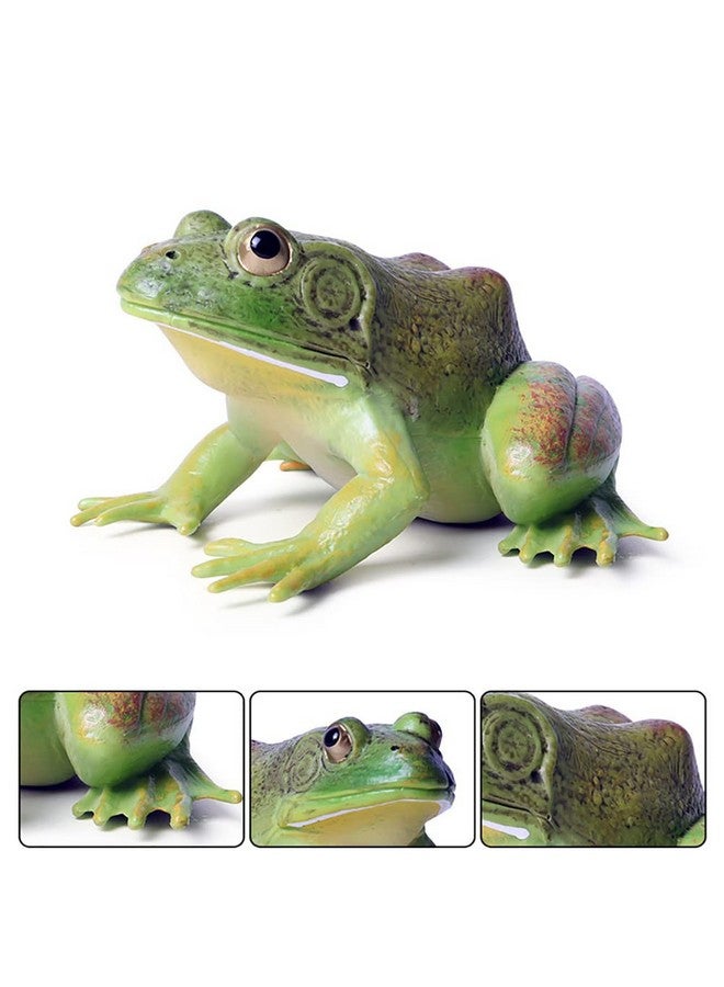 DOYIFUN Simulated Tree Frog Model Figure Toy, Realistic Bullfrog Figurines Collection Playset Science Educational Props - Image 2