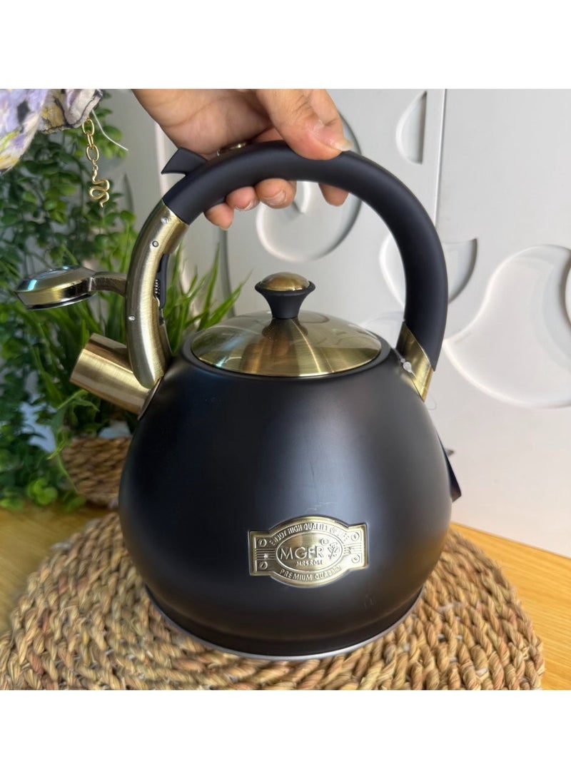 Black colored stainless steel kettle, stainless steel kettle with direct fire whistle, heavy material, 3 liter capacity - Image 4