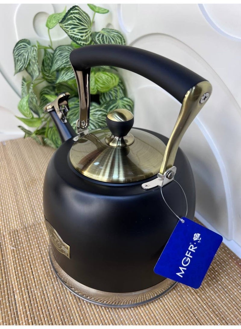 Black colored stainless steel kettle, stainless steel kettle with direct fire whistle, heavy material, 3 liter capacity - Image 2