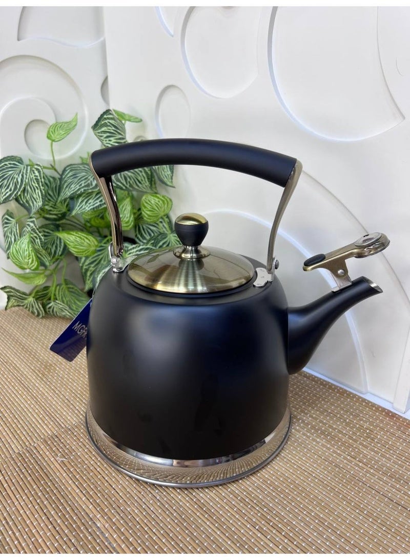 Black colored stainless steel kettle, stainless steel kettle with direct fire whistle, heavy material, 3 liter capacity - Image 3