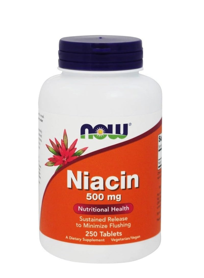 now Niacin Time Release Vegetarian 250 Tablets - 500mg - Image 1