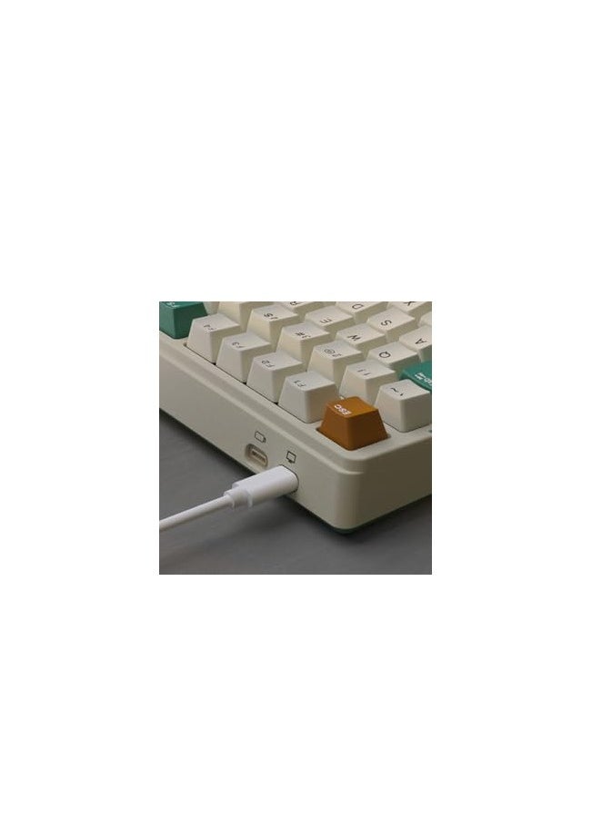 Royal Kludge - RK ROYAL KLUDGE H81 Wireless Mechanical Keyboard, Green 3 Mode Skycyan Switch - Image 1