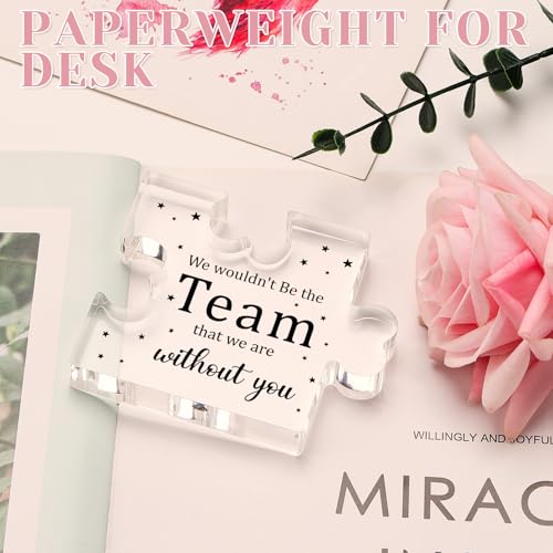 Funnli Bosses Day Gifts for Women Men, Employee Appreciation Gifts Acrylic Plaque, Boss Day Farewell Retirement Christmas Gifts for Coworkers Boss Lady Staff Leader Manager Nurse Coach Office Decor - Image 4