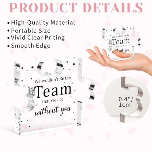 Funnli Bosses Day Gifts for Women Men, Employee Appreciation Gifts Acrylic Plaque, Boss Day Farewell Retirement Christmas Gifts for Coworkers Boss Lady Staff Leader Manager Nurse Coach Office Decor - Image 2