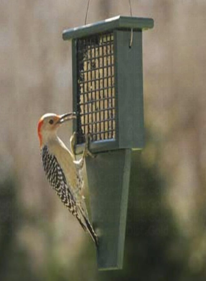 Songbird Essentials Tail Prop Suet Feeder - Recycled Plastic Bird Feeder with Coated Wire Cage for Bird Seed Cakes - Hunter Green - Image 3