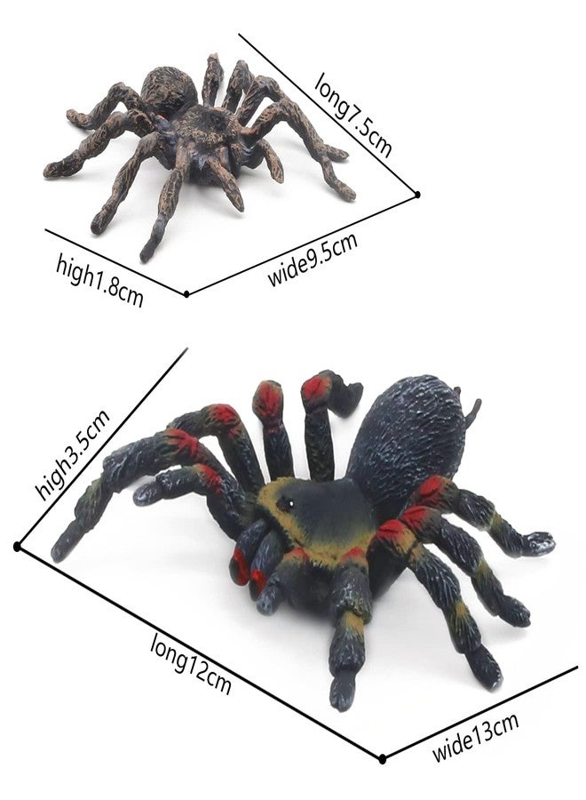 SIENON 2Pcs Realistic Wolf Spider Animal Toys, Lifelike Whiteknee Tarantula Insect Figure Action Model for Kids Education Halloween Pranks Props Decorations - Image 3