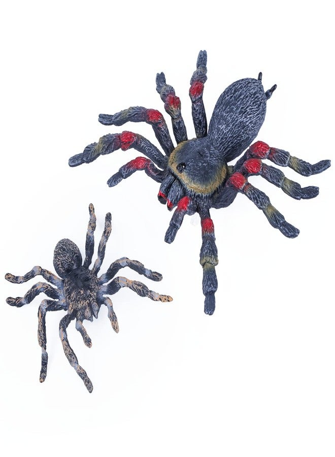 SIENON 2Pcs Realistic Wolf Spider Animal Toys, Lifelike Whiteknee Tarantula Insect Figure Action Model for Kids Education Halloween Pranks Props Decorations - Image 1