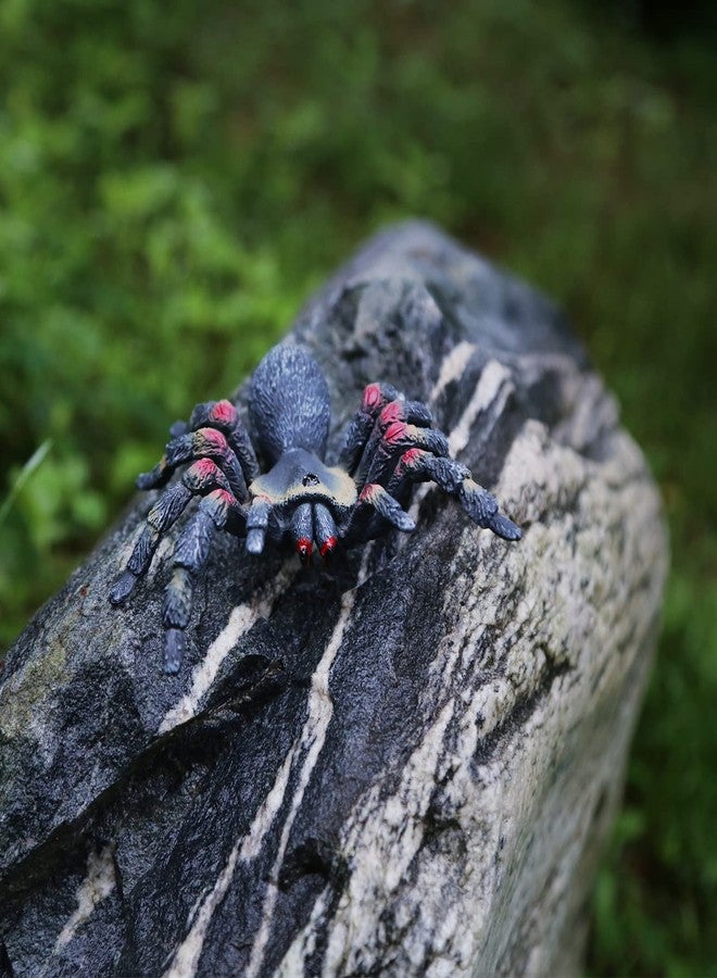 SIENON 2Pcs Realistic Wolf Spider Animal Toys, Lifelike Whiteknee Tarantula Insect Figure Action Model for Kids Education Halloween Pranks Props Decorations - Image 2