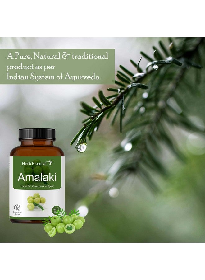 Herb Essential أملاكي الأساسي بالأعشاب (التوت الهندي) 500 ملغ، 60 قرص | ينظف الجسم | غني بفيتامين C | يعزز المناعة | يحسن الهضم (عبوة من 1) - Image 3